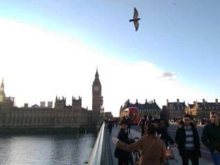 Sabelli House Moments from the Big Ben - Photo 9