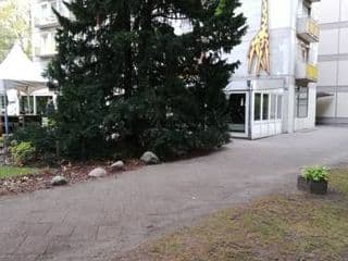 Oase im Park - Photo 15