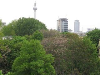 Ferienwohnungen Familie Böckmann - Photo 17