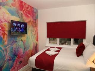 Wembley Park Hotel - Photo 7