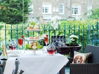 The Montague On The Gardens - Photo 22