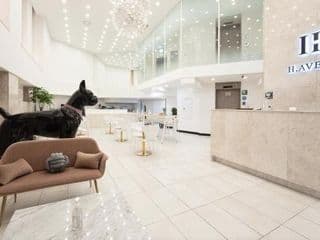 H Avenue Hotel Idae Sinchon - Photo 9