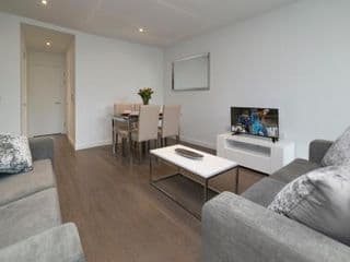 Deluxe Central London Apartment - Photo 6