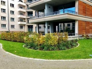 BonusFeature Apartments - Photo 9