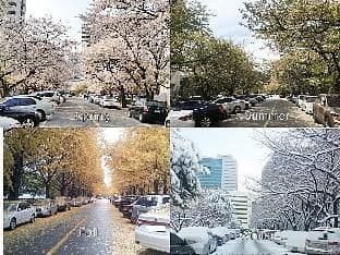 next to Lotte World@Jamsil/3RM Apt/잠실 3룸 아파트 - Photo 12