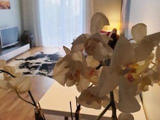 Apartment P1 in Berlin-Friedrichshain - Photo 21