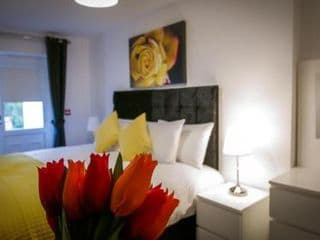 UR City Pad - Richmond Apartments