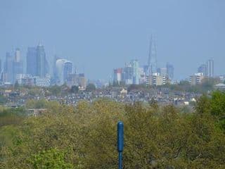 Wimbledon Views - Photo 20