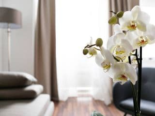 Apartment DROYSEN Kurfürstendamm - Cozy Family & Business Flair welcomes you - Rockchair Apartments - Photo 4