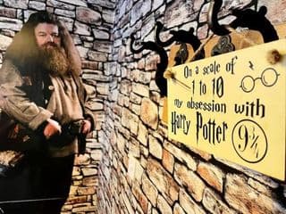 Hagrid's Hut - Photo 3