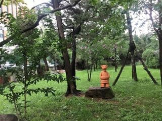 Cup of coffee looking at Saetgang ecological park - Photo 2