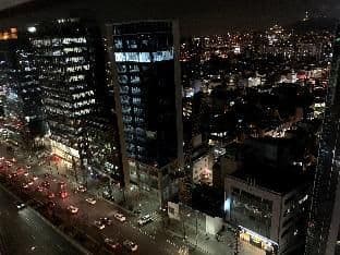 [PREMIUM RESIDENCE] Gangnam,Sinsa-Station,Studio1 - Photo 3
