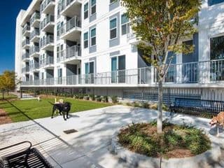 Spectacular Suites by BCA Furnished Apartments - Photo 24