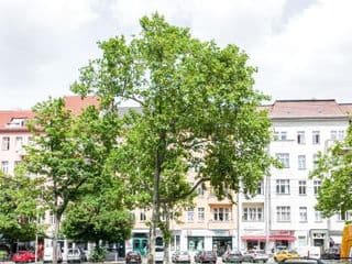 DR Apartments Prenzlauer Berg - Photo 22
