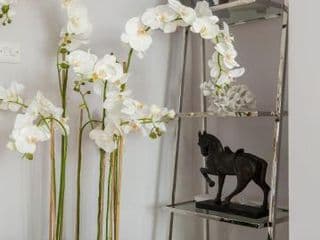 The Chelsea Cottage by House of Kip - Photo 2