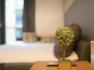 Arcadian City Centre Apartments with Balcony - Photo 21