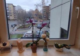Schönes Privatzimmer LGBTQ freundlich bei Gastgeber - Photo 20
