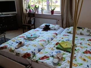 Schönes Privatzimmer LGBTQ freundlich bei Gastgeber - Photo 6