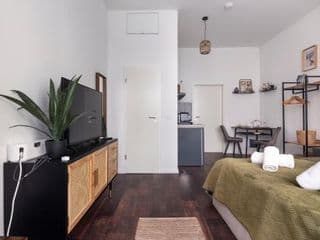 Central Apartment in Heart of Berlin - Photo 11