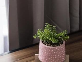 Modern Studio Apartments - Photo 8