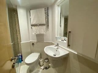 A sun drenched Garden Flat in the heart of Fulham - Photo 15