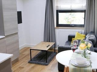 Deluxe and Modern Studio Apartment in Sydenham - Photo 15
