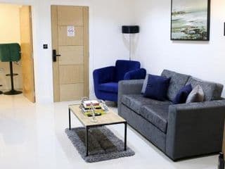 Deluxe and Modern Studio Apartment in Sydenham - Photo 3