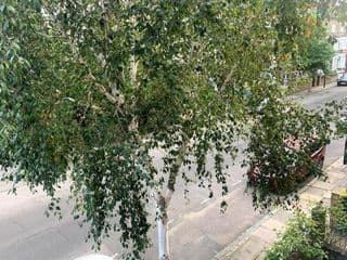 Lovely spacious 1-bedroom flat in Tufnell Park close to Central London - Photo 18