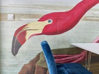 The Flamingo - Photo 7