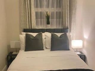 Luxury 2 Bedroom House - Photo 4
