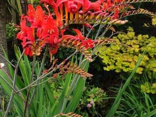 Tropical Garden Oasis Rooms - Photo 20