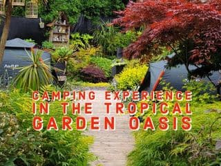 Tropical Garden Oasis Rooms - Photo 3