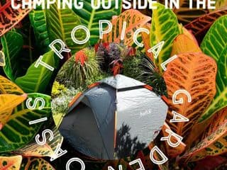 Tropical Garden Oasis Rooms - Photo 4