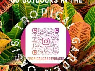 Tropical Garden Oasis Rooms - Photo 5