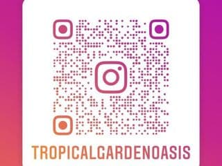 Tropical Garden Oasis Rooms - Photo 6