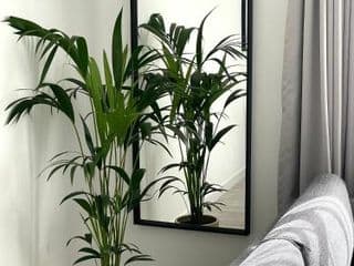 OneFiveSix - Unique Apartments - Photo 13