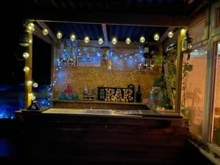 Karaoke House In The Heart Of The Country with Hot Tub & Outdoor Bar - Photo 8