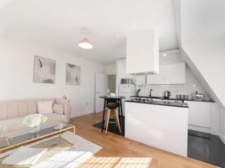Spacious One Bed loft Apartment