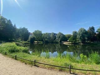 Lake Side Park/Historic/BER/THF - Photo 18