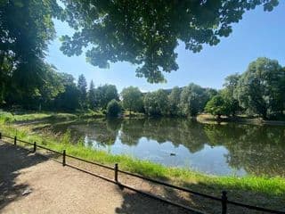 Lake Side Park/Historic/BER/THF - Photo 24