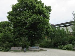 Hotel Abendstern - Photo 22