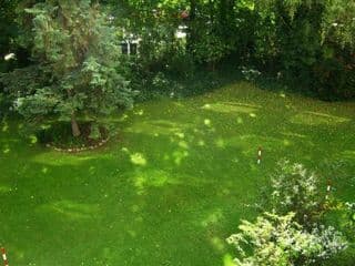 Nikol Apartments - Photo 7
