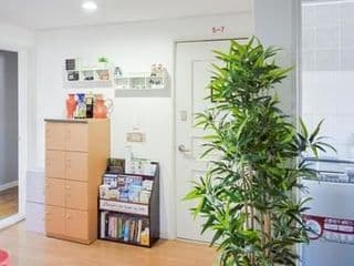 Mamas and Papas Guesthouse and Apartments in Seoul - Photo 16