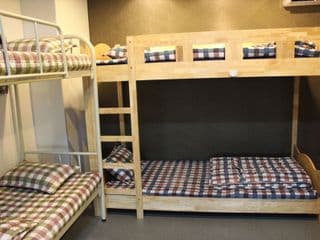Mamas and Papas Guesthouse and Apartments in Seoul - Photo 5