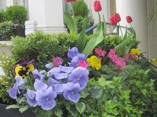 Oxford Hotel - Photo 17