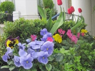 Oxford Hotel - Photo 18