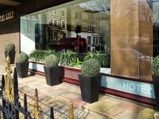 Hotel Lily - Photo 12