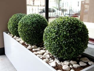 Hotel Lily - Photo 19