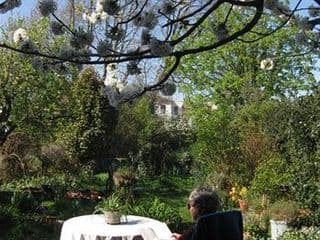 Grove Guest House - Photo 9