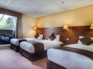 Apollo Hotel - Photo 10